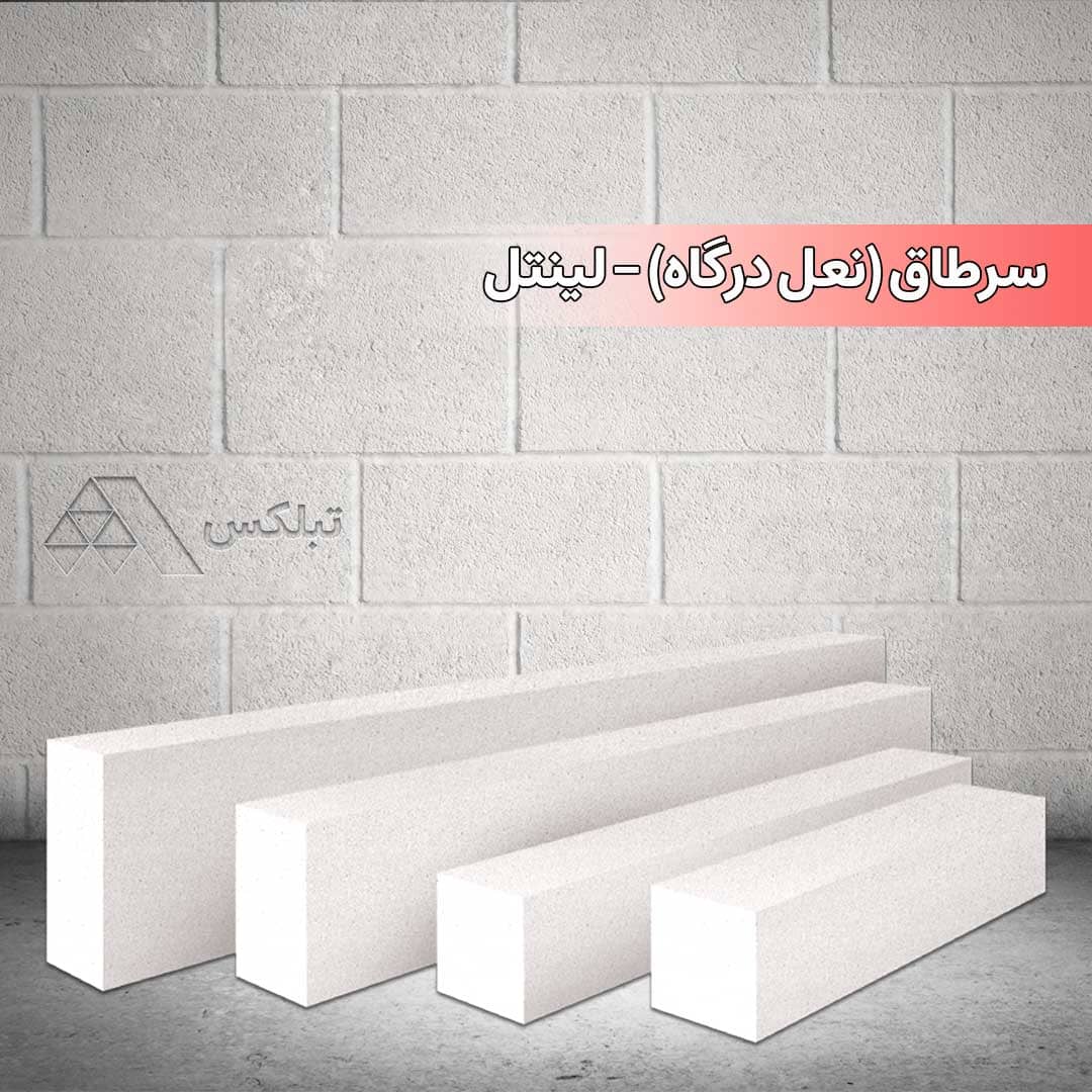 Tablex autoclaved lightweight concrete blocks and panels-Sartaq (Horseback)