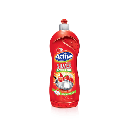 Active Dishwashing Liquid Silver Series 750gr
