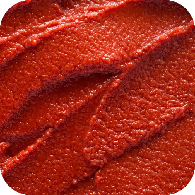 Tomato Paste